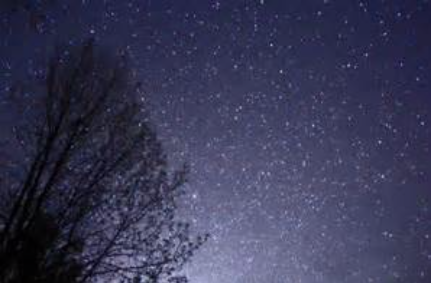 A photo of the night sky with a tree